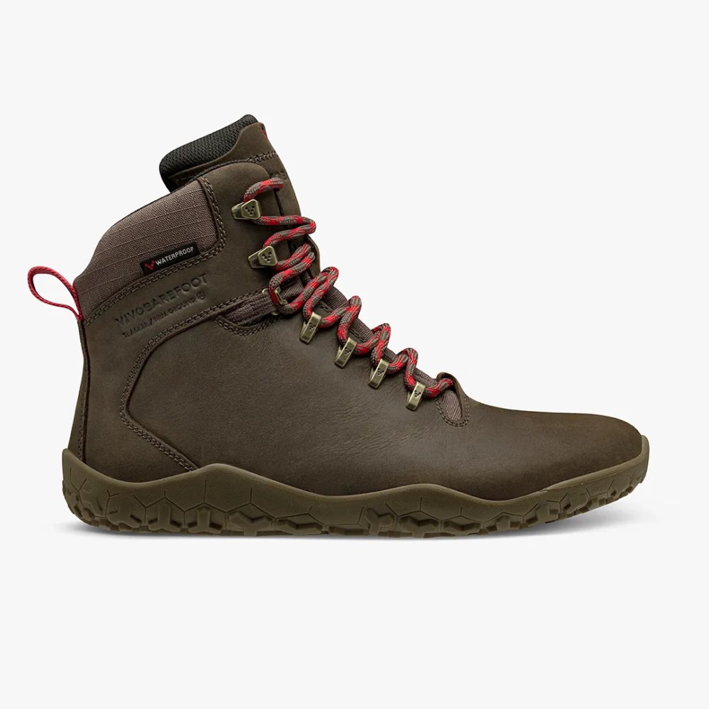 Excerpt extract Musty Vivobarefoot Romania - Vivobarefoot Tracker II Fg Bocanci Munte Dama Ieftine de Vanzare - Negrii Excerpt extract Musty Vivobarefoot Romania - Vivobarefoot Tracker II Fg Bocanci Munte Dama Ieftine de Vanzare - Negrii